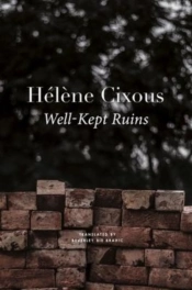 Wellâ€“Kept Ruins
