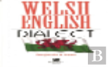Welsh English Dialect
