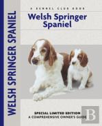 Welsh Springer Spaniel