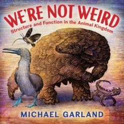 Bertrand.pt - We'Re Not Weird