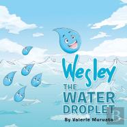Wesley The Water Droplet