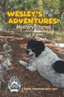 Wesley'S Adventures