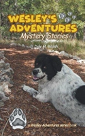 Wesley'S Adventures
