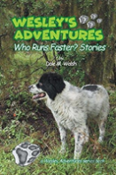 Wesley'S Adventures