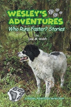 Bertrand.pt - Wesley'S Adventures
