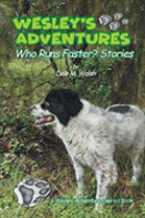 Wesley'S Adventures