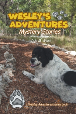 Bertrand.pt - Wesley'S Adventures; Mystery Stories;