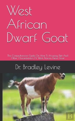 Bertrand.pt - West African Dwarf Goat