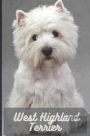 West Highland Terrier