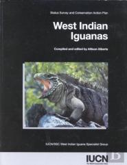 West Indian Iguanas