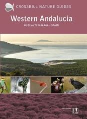 Western Andalucia