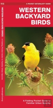 Western Backyard Birds