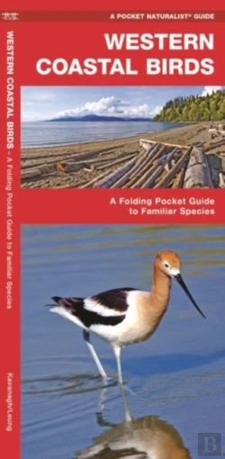 Bertrand.pt - Western Coastal Birds