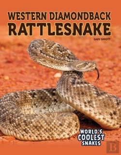 Bertrand.pt - Western Diamondback Rattlesnake