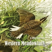 Western Meadowlark And Other Bird Songs