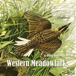 Bertrand.pt - Western Meadowlark And Other Bird Songs