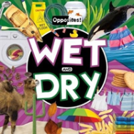 Wet And Dry