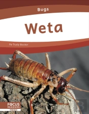 Weta