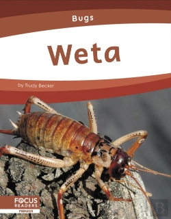 Bertrand.pt - Weta