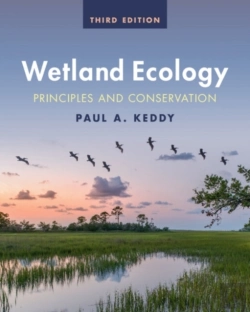 Bertrand.pt - Wetland Ecology