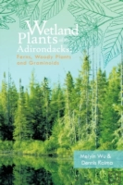 Bertrand.pt - Wetland Plants Of The Adirondacks