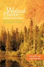 Wetland Plants Of The Adirondacks