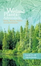Wetland Plants Of The Adirondacks