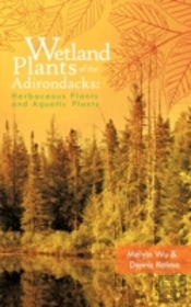 Wetland Plants Of The Adirondacks