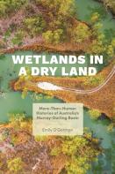 Wetlands In A Dry Land