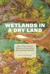 Wetlands In A Dry Land