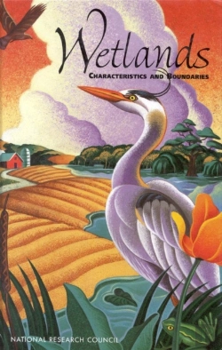 Bertrand.pt - Wetlands