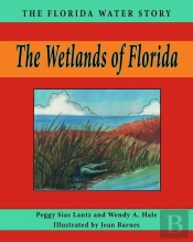 Wetlands Of Florida