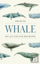 Whale