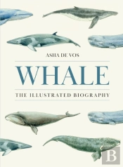 Whale