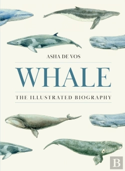 Bertrand.pt - Whale