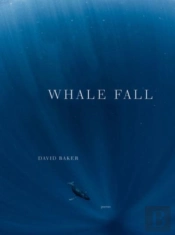 Whale Fall