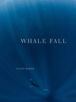 Bertrand.pt - Whale Fall