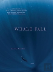 Whale Fall