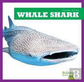 Whale Shark