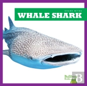 Whale Shark