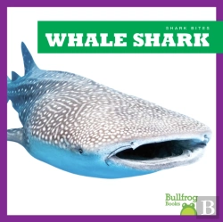Bertrand.pt - Whale Shark