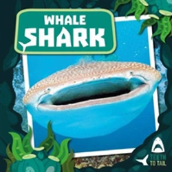 Bertrand.pt - Whale Shark
