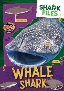Bertrand.pt - Whale Shark