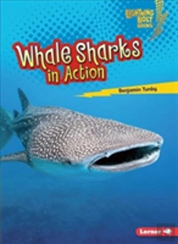 Bertrand.pt - Whale Sharks In Action