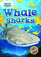 Whale Sharks