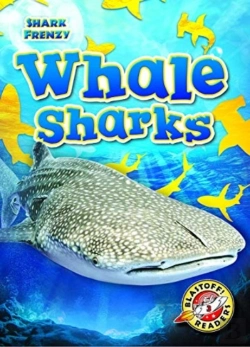Bertrand.pt - Whale Sharks