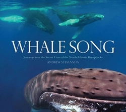 Bertrand.pt - Whale Song