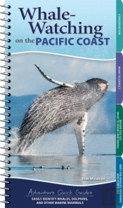 Whale Watching On The Pacific Coast