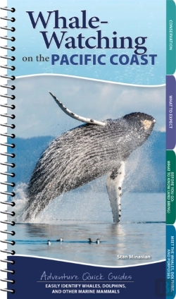 Bertrand.pt - Whale Watching On The Pacific Coast
