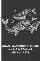 Whale Watching Tips For Whale Watching Enthusiasts